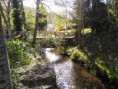 /album/fotogaleria-fotogaleria/punte-sobre-el-rio-jpg/